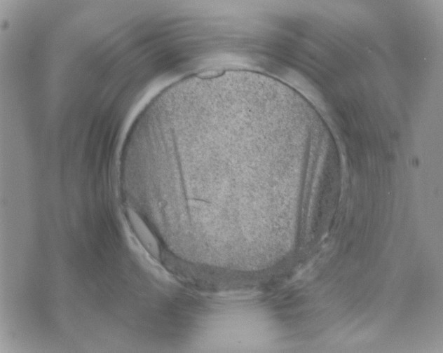 X0000071861008200607211912