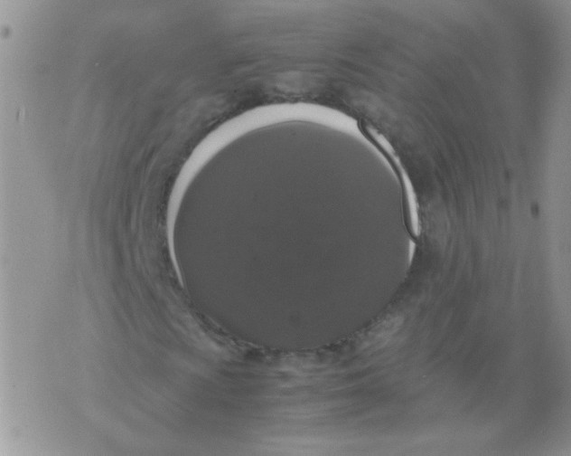 X0000071861009200607211912