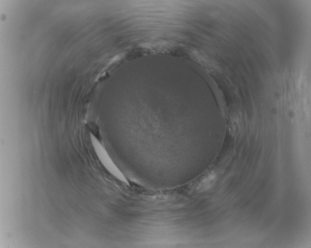 X0000071861010200607211912