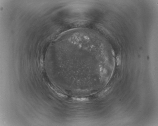 X0000071861011200607211912