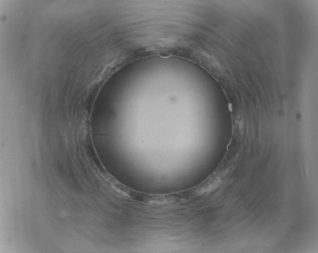 X0000071861012200607211912