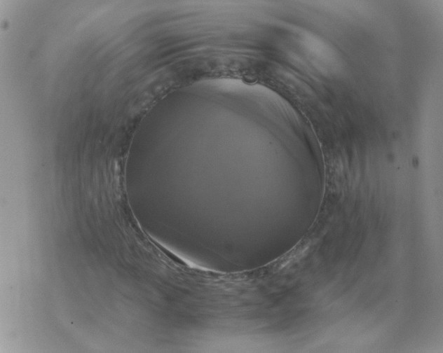 X0000071861013200607211912