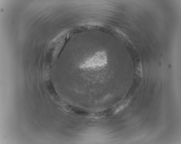 X0000071861014200607211912