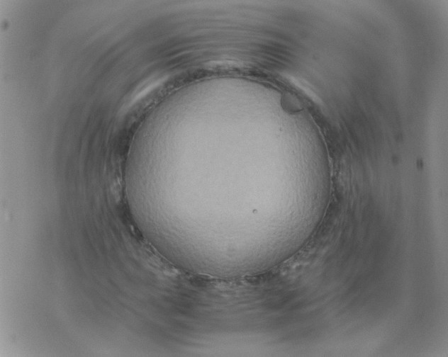 X0000071861015200607211912