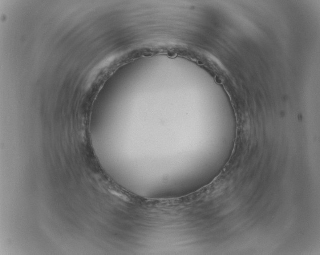 X0000071861016200607211912