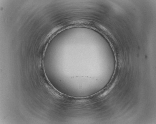 X0000071861017200607211912