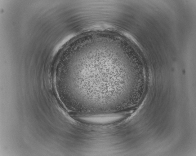 X0000071861018200607211912