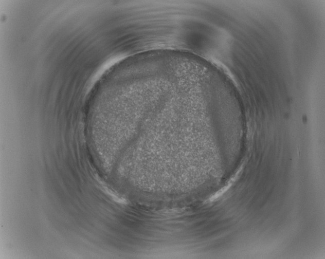 X0000071861019200607211912