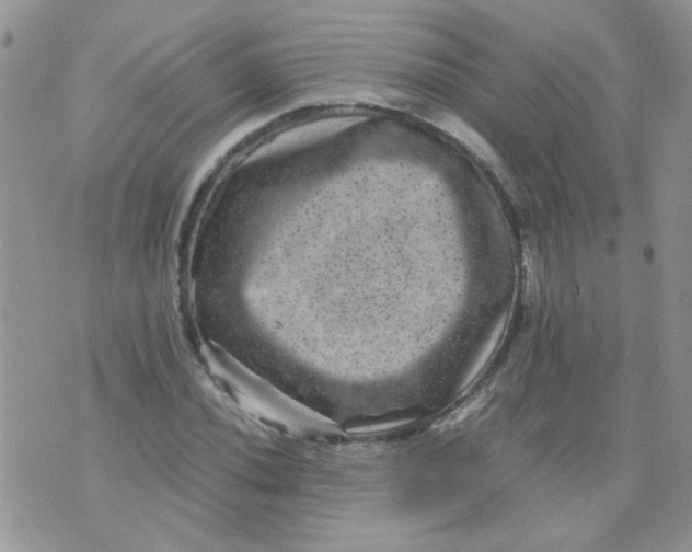 X0000071861020200607211912