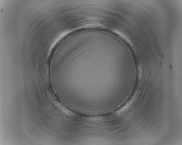 X0000071861021200607211912