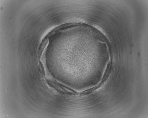 X0000071861022200607211912