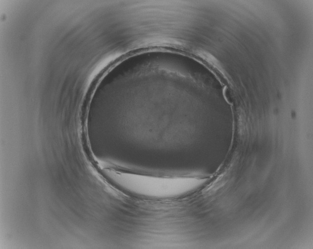 X0000071861024200607211912