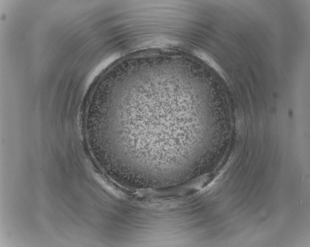 X0000071861026200607211912