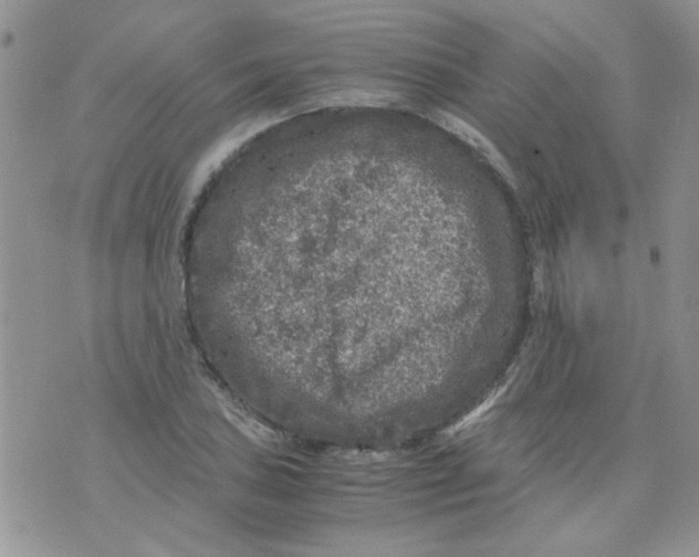 X0000071861027200607211912