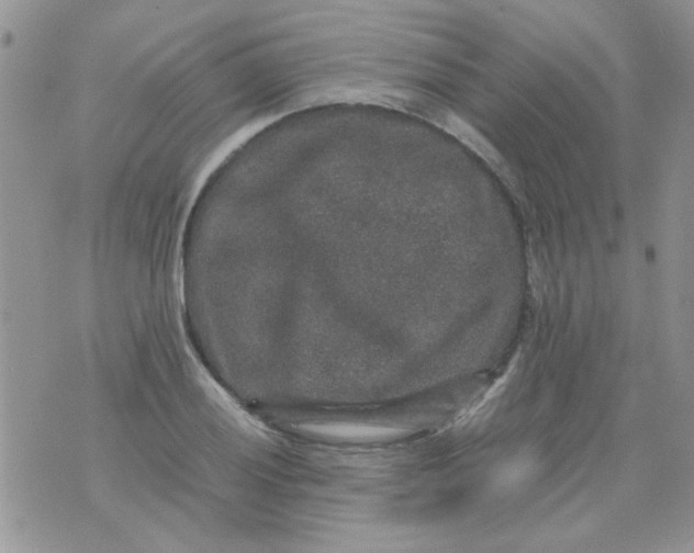 X0000071861028200607211912