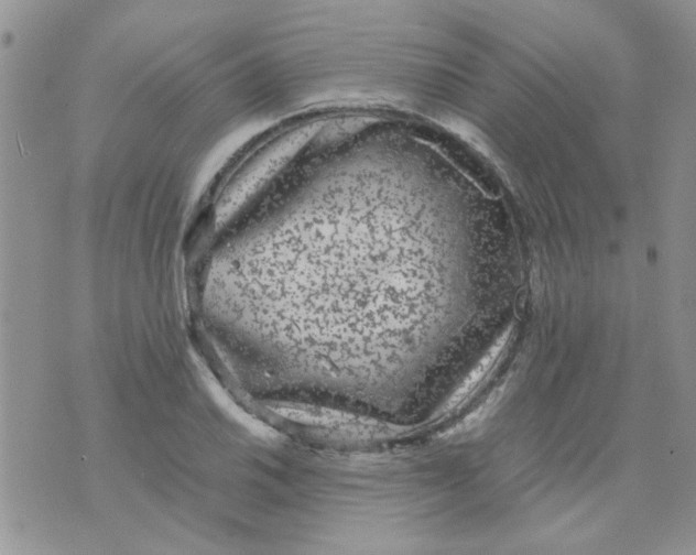 X0000071861030200607211912