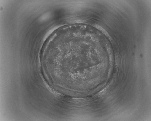 X0000071861031200607211912