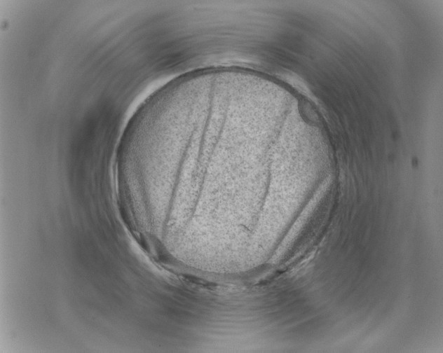 X0000071861032200607211912