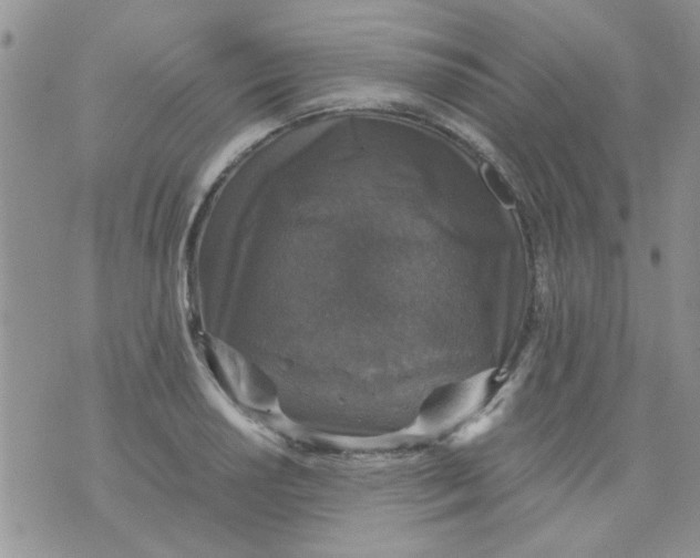 X0000071861034200607211912