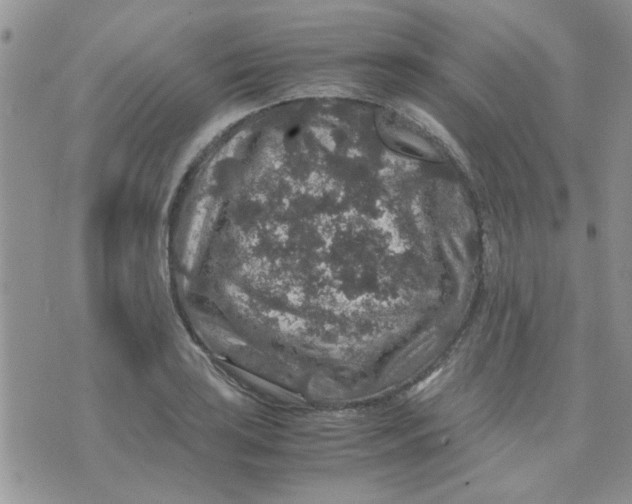 X0000071861035200607211912