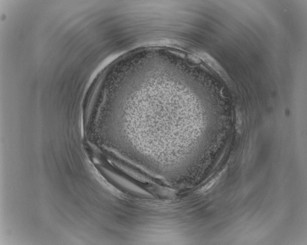 X0000071861036200607211912