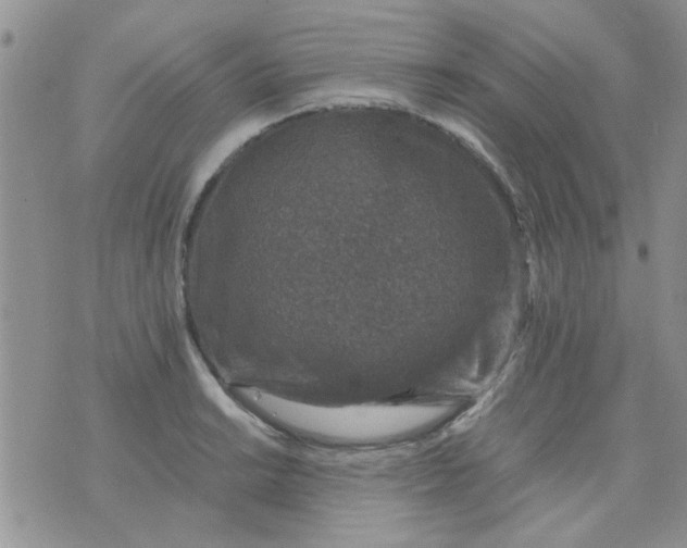 X0000071861038200607211912