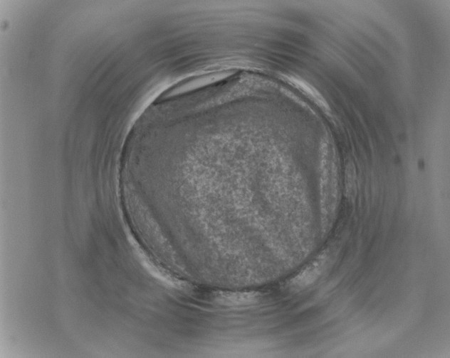 X0000071861039200607211912