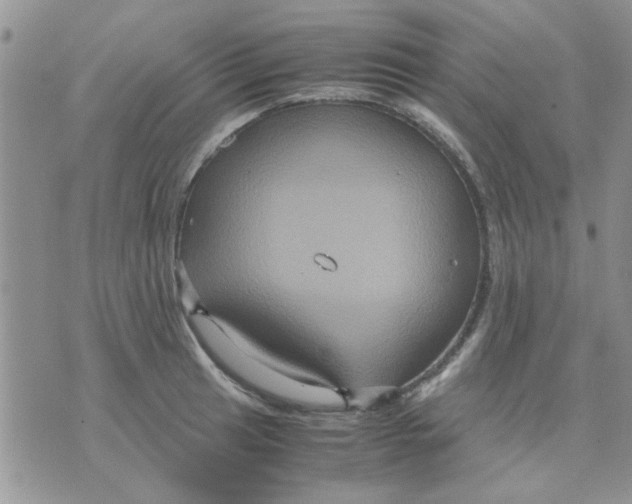 X0000071861041200607211912