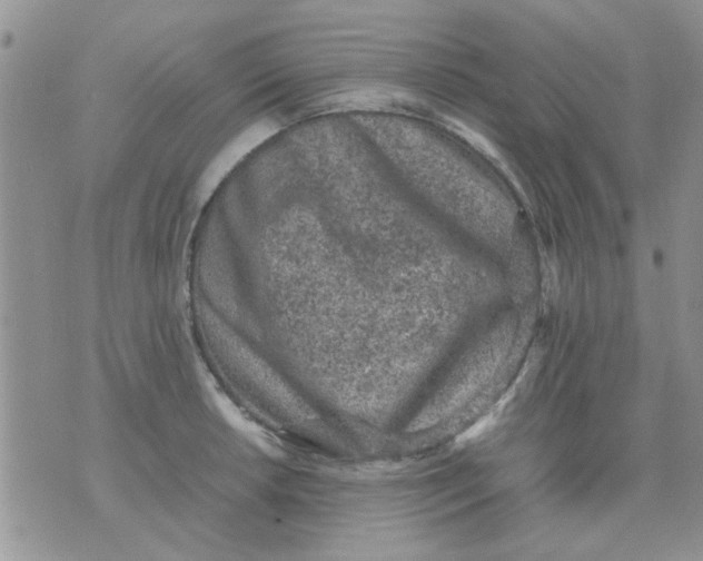 X0000071861042200607211912