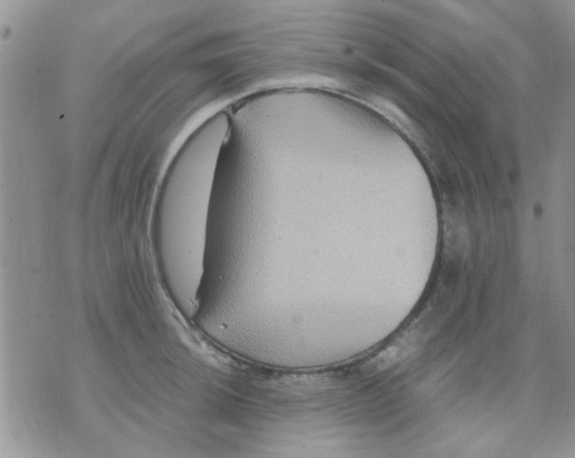 X0000071861044200607211912