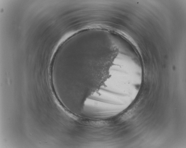 X0000071861045200607211912