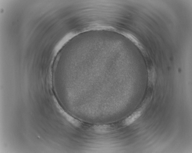 X0000071861046200607211912