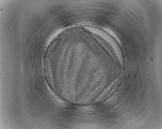 X0000071861047200607211912