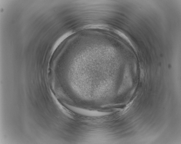 X0000071861050200607211912