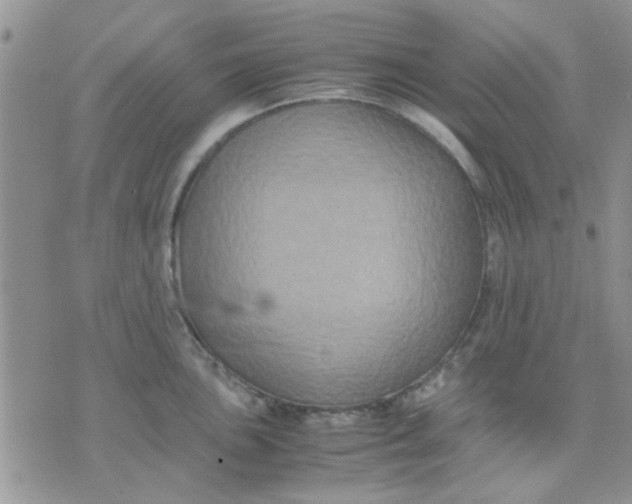 X0000071861051200607211912