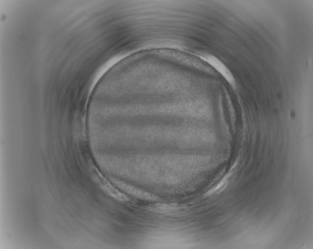 X0000071861052200607211912