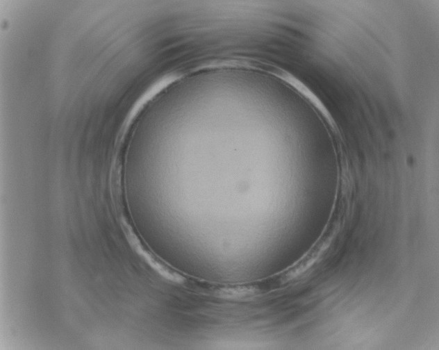 X0000071861053200607211912