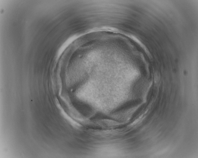 X0000071861054200607211912