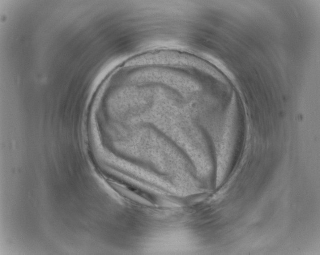 X0000071861056200607211912