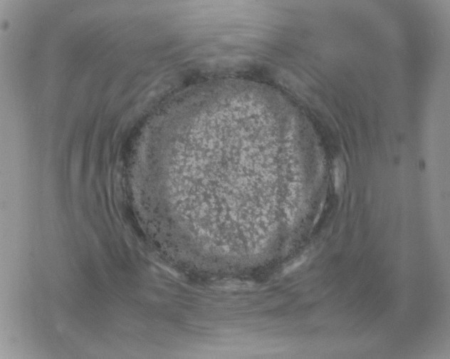 X0000071861059200607211912