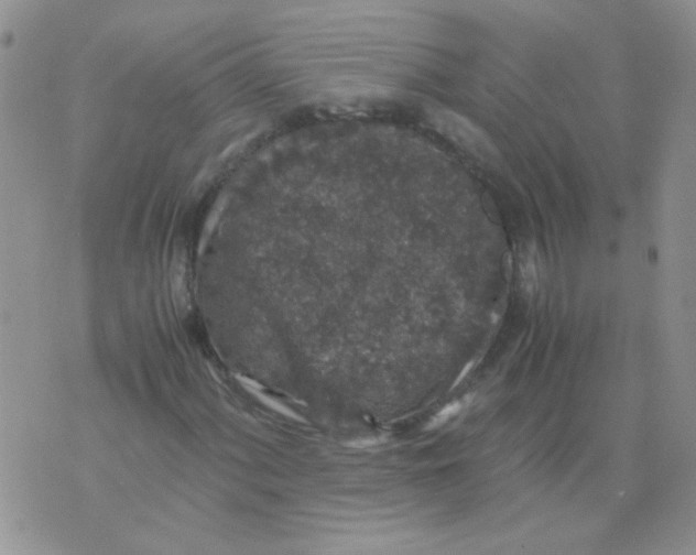 X0000071861060200607211912