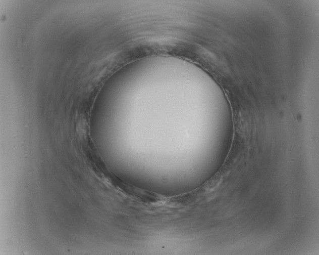 X0000071861061200607211911