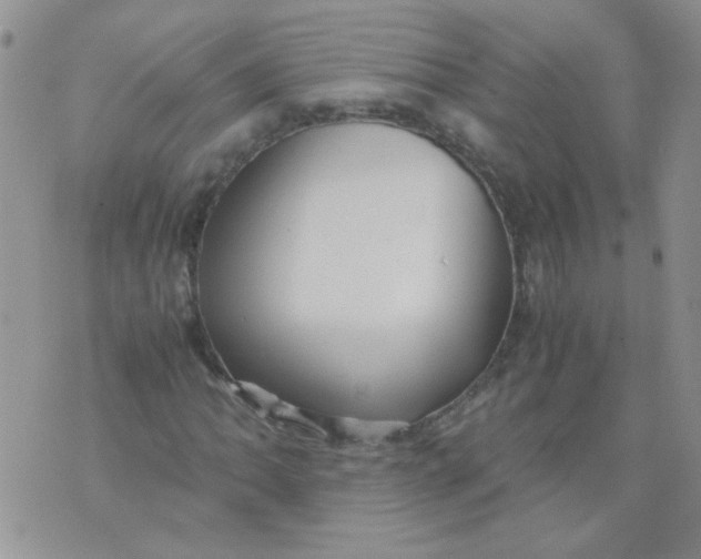 X0000071861062200607211911