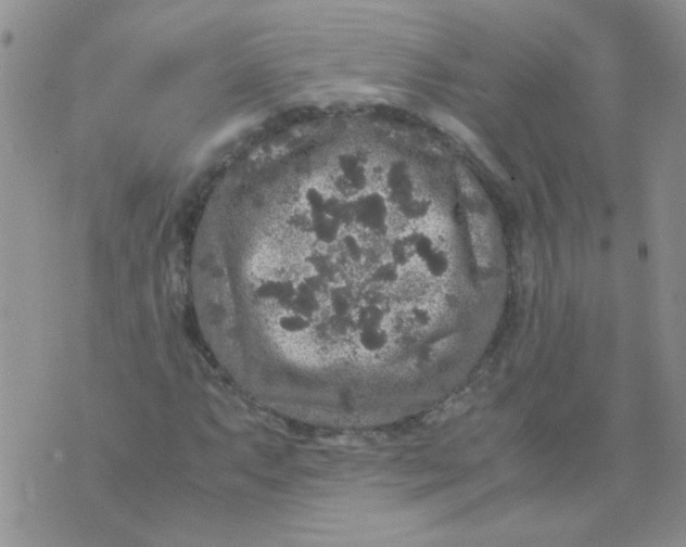 X0000071861063200607211911