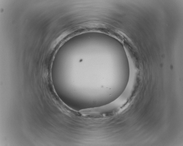 X0000071861065200607211911