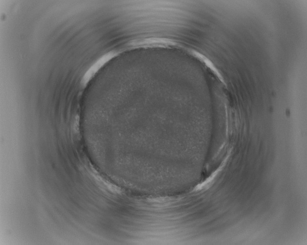 X0000071861066200607211911