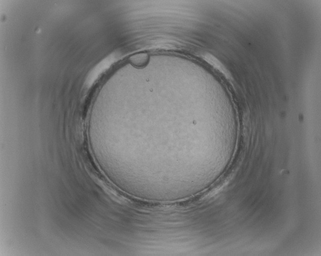 X0000071861067200607211911