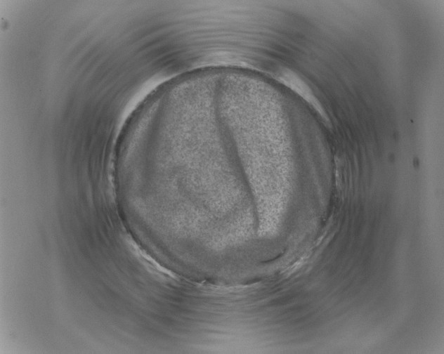 X0000071861068200607211911