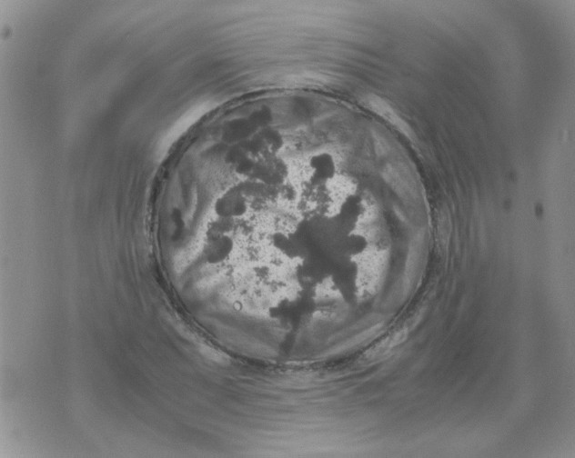 X0000071861071200607211911