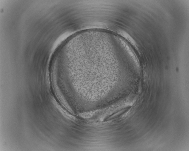 X0000071861072200607211911